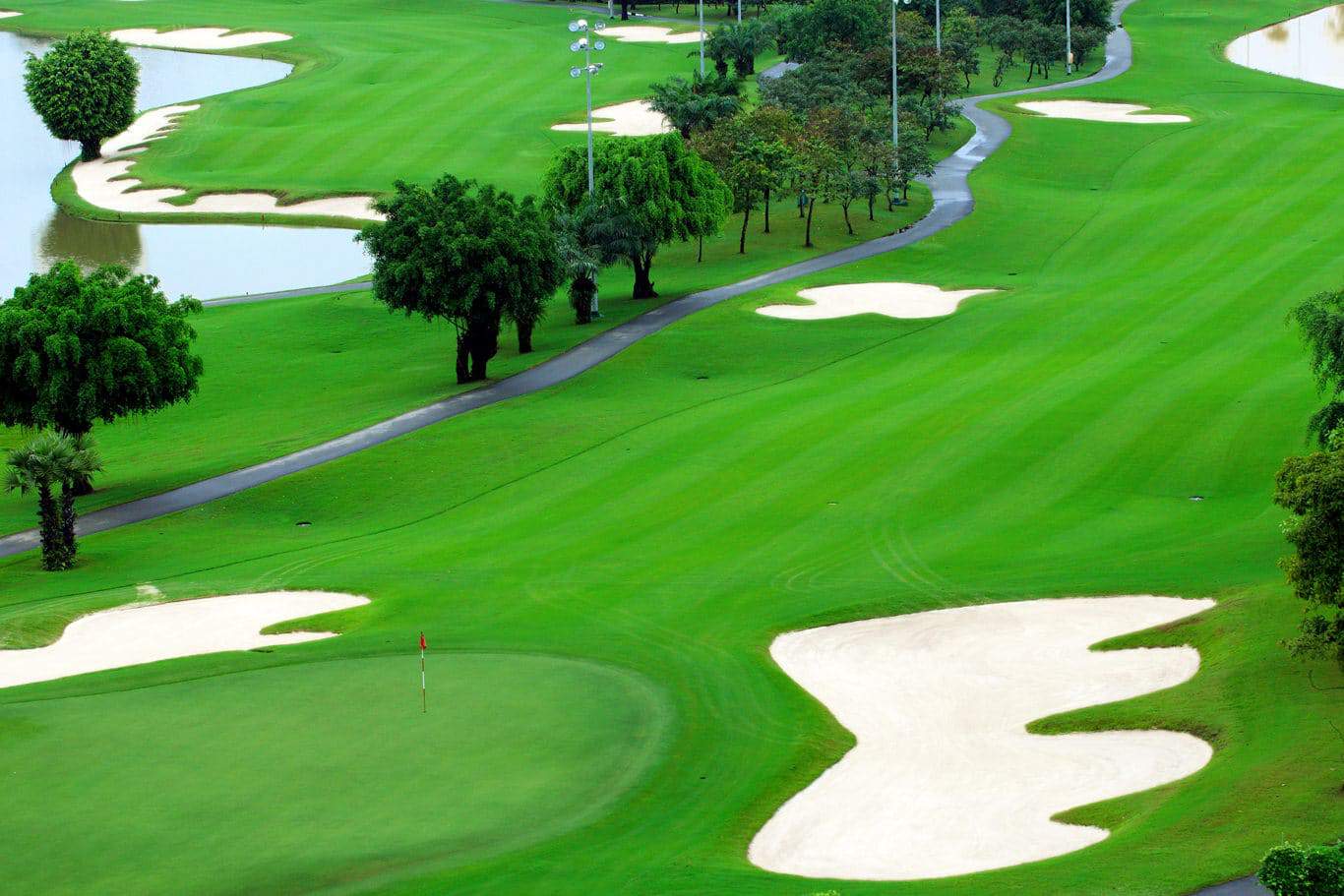 Phân biệt các loại cỏ sân golf và các tiêu chí của từng loại cỏ sân golf