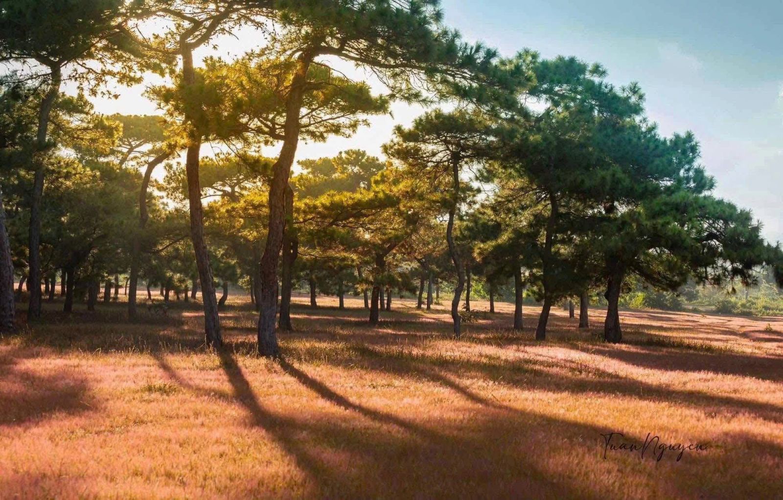 Dự án sân golf Đak Đoa tại Gia Lai có chủ mới, vốn đầu tư 1.150 tỉ đồng